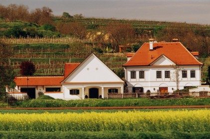 Nieuw: Oostenrijkse BIOLOGISCHE wijnen