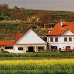 Nieuw: Oostenrijkse BIOLOGISCHE wijnen